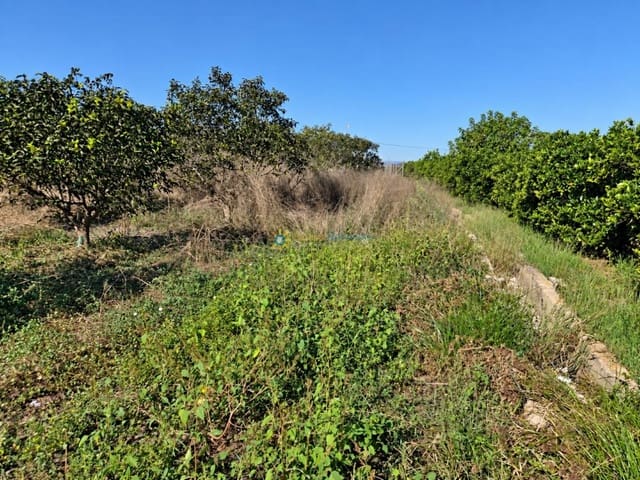 Undeveloped Land for sale in San Juan de Enova - € 48,000 (Ref: 10185480)