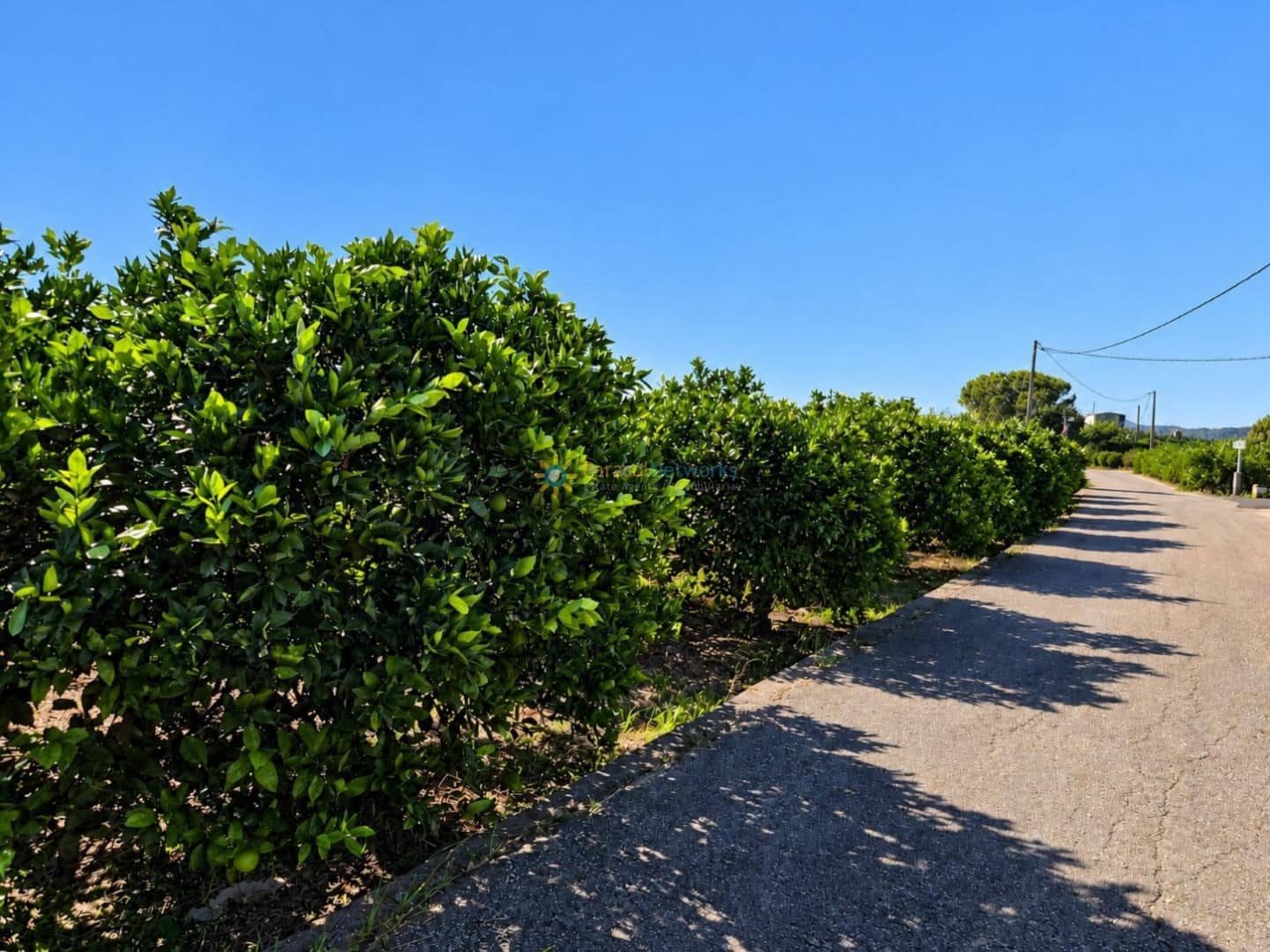 Undeveloped Land for sale in San Juan de Enova - € 48,000 (Ref: 10185480)
