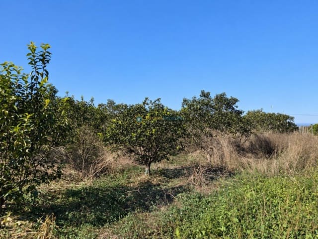 Undeveloped Land for sale in San Juan de Enova - € 48,000 (Ref: 10185480)