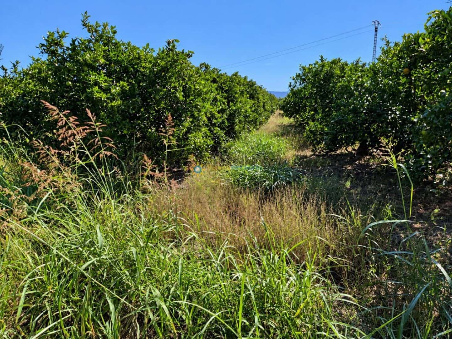 Undeveloped Land for sale in San Juan de Enova - € 48,000 (Ref: 10185480)
