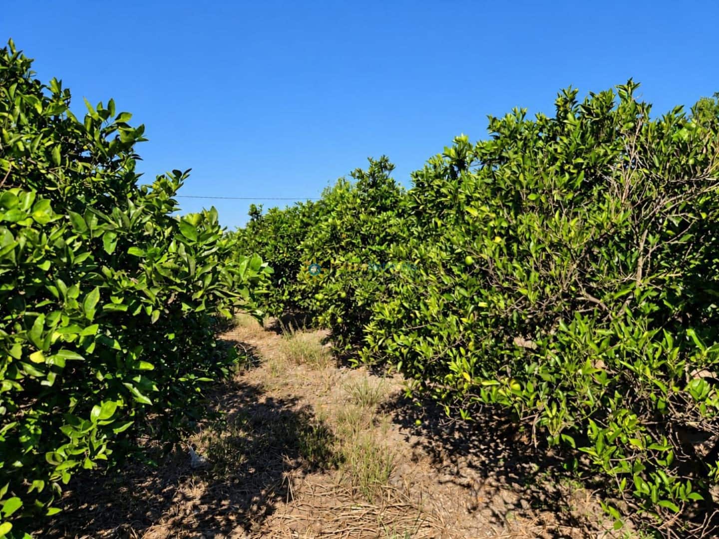Undeveloped Land for sale in San Juan de Enova - € 48,000 (Ref: 10185480)