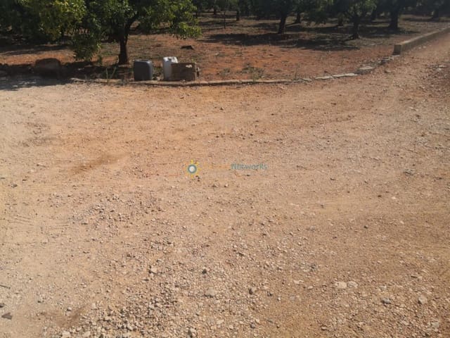 Undeveloped Land for sale in Oliva Pueblo, Oliva - € 23,000 (Ref: 9085644)