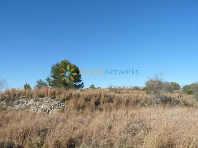 Grunde uden byggetilladelser til salg i Castelló de la Plana - € 26.000 (Ref: 9137653)