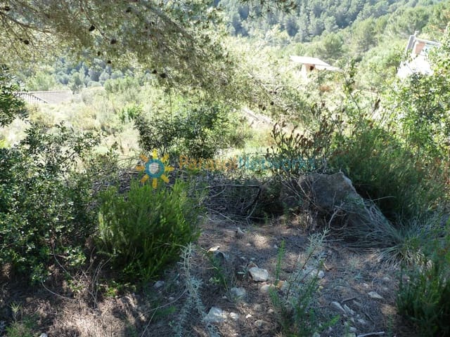 Building Plot for sale in Oliva - € 77,000 (Ref: 9186228)