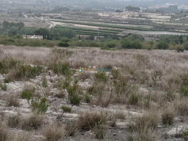 Undeveloped Land for sale in Albaida - € 375,000 (Ref: 9196310)