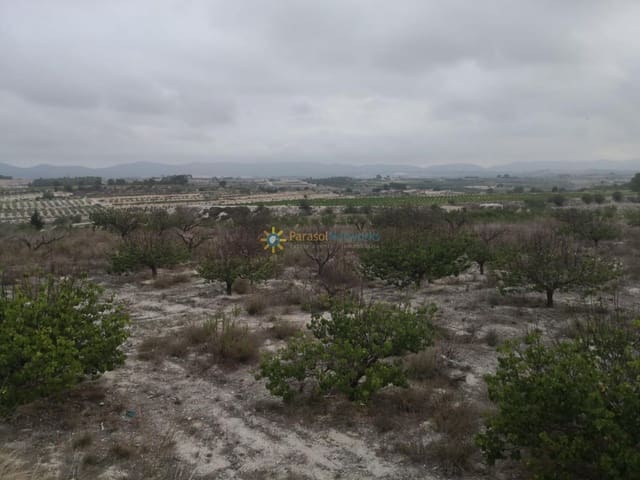 Undeveloped Land for sale in Albaida - € 375,000 (Ref: 9196310)