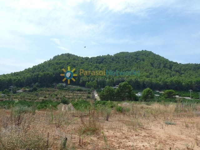 Area Edificabile in vendita in Real de Gandía - 159.000 € (Rif: 9200893)