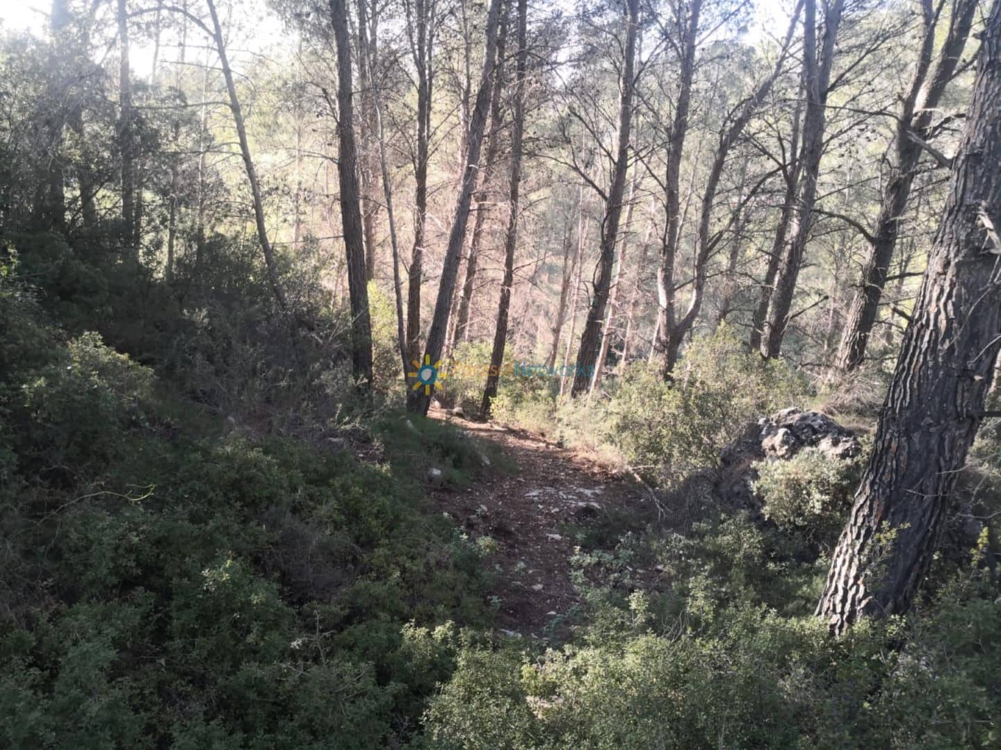 Grunde uden byggetilladelser til salg i Muro de Alcoy - € 128.000 (Ref: 9245645)