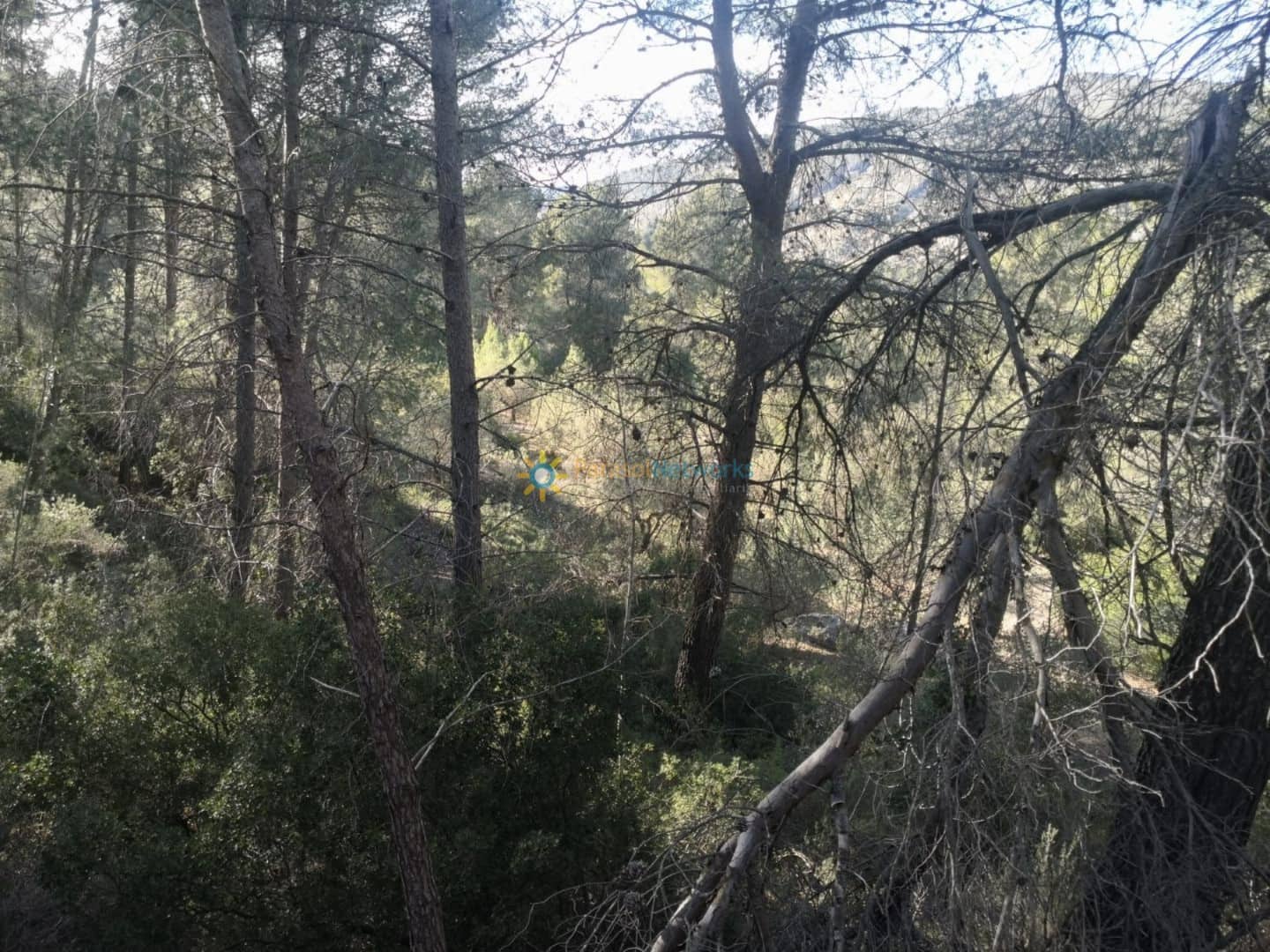 Grunde uden byggetilladelser til salg i Muro de Alcoy - € 128.000 (Ref: 9245645)