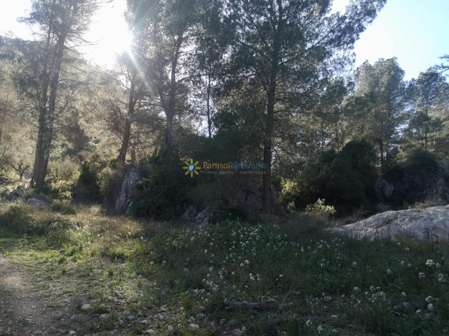 Ubebygd land til salgs i Muro de Alcoy - € 128 000 (Ref: 9257976)