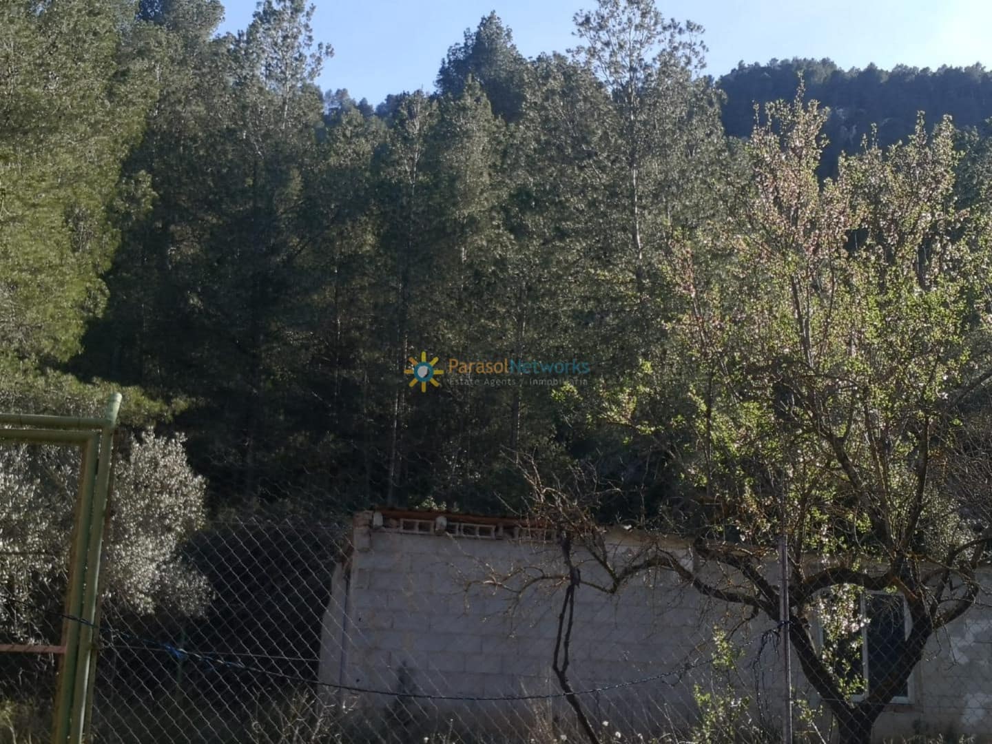 Ubebygd land til salgs i Muro de Alcoy - € 128 000 (Ref: 9257976)