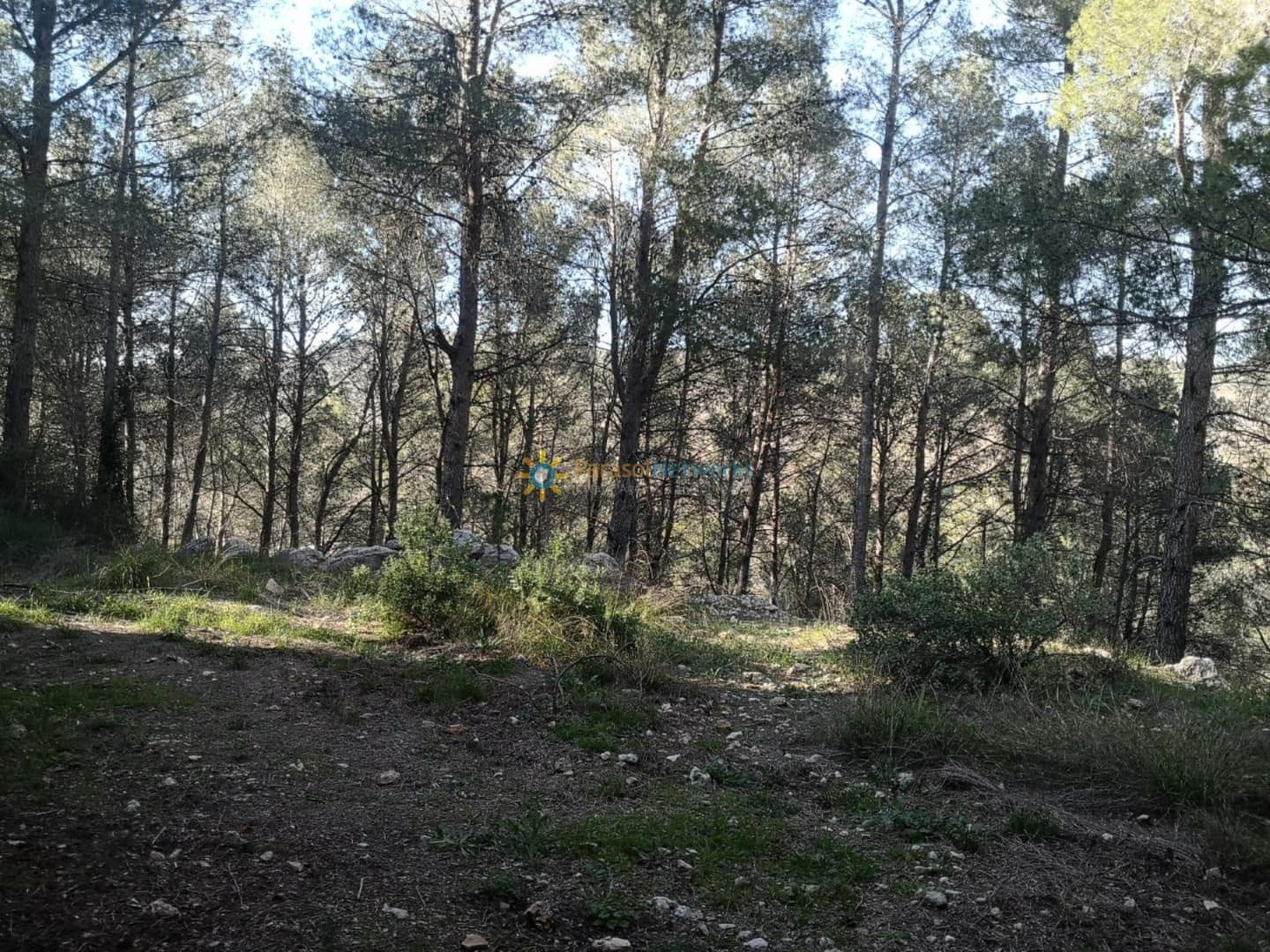 Ubebygd land til salgs i Muro de Alcoy - € 128 000 (Ref: 9257976)