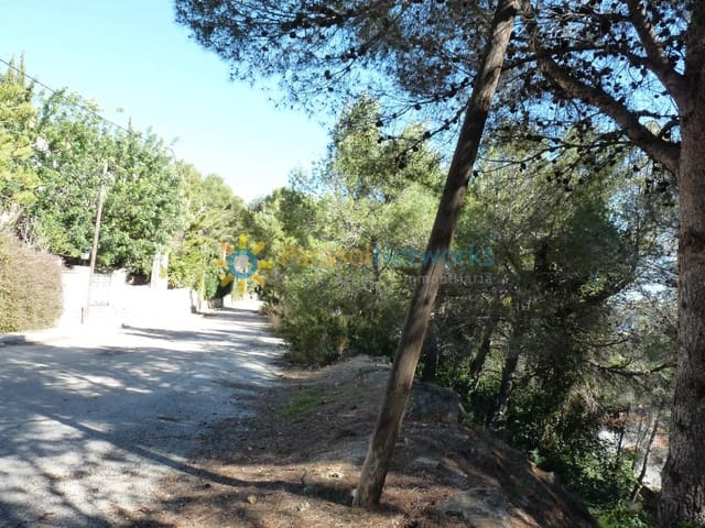 Building Plot for sale in Oliva Pueblo, Oliva - € 73,000 (Ref: 9267884)