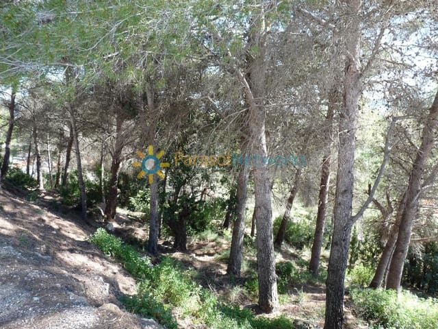 Building Plot for sale in Oliva Pueblo, Oliva - € 73,000 (Ref: 9267884)