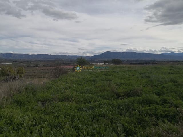 Ubebygd land til salgs i Benigánim - € 18 000 (Ref: 9274733)