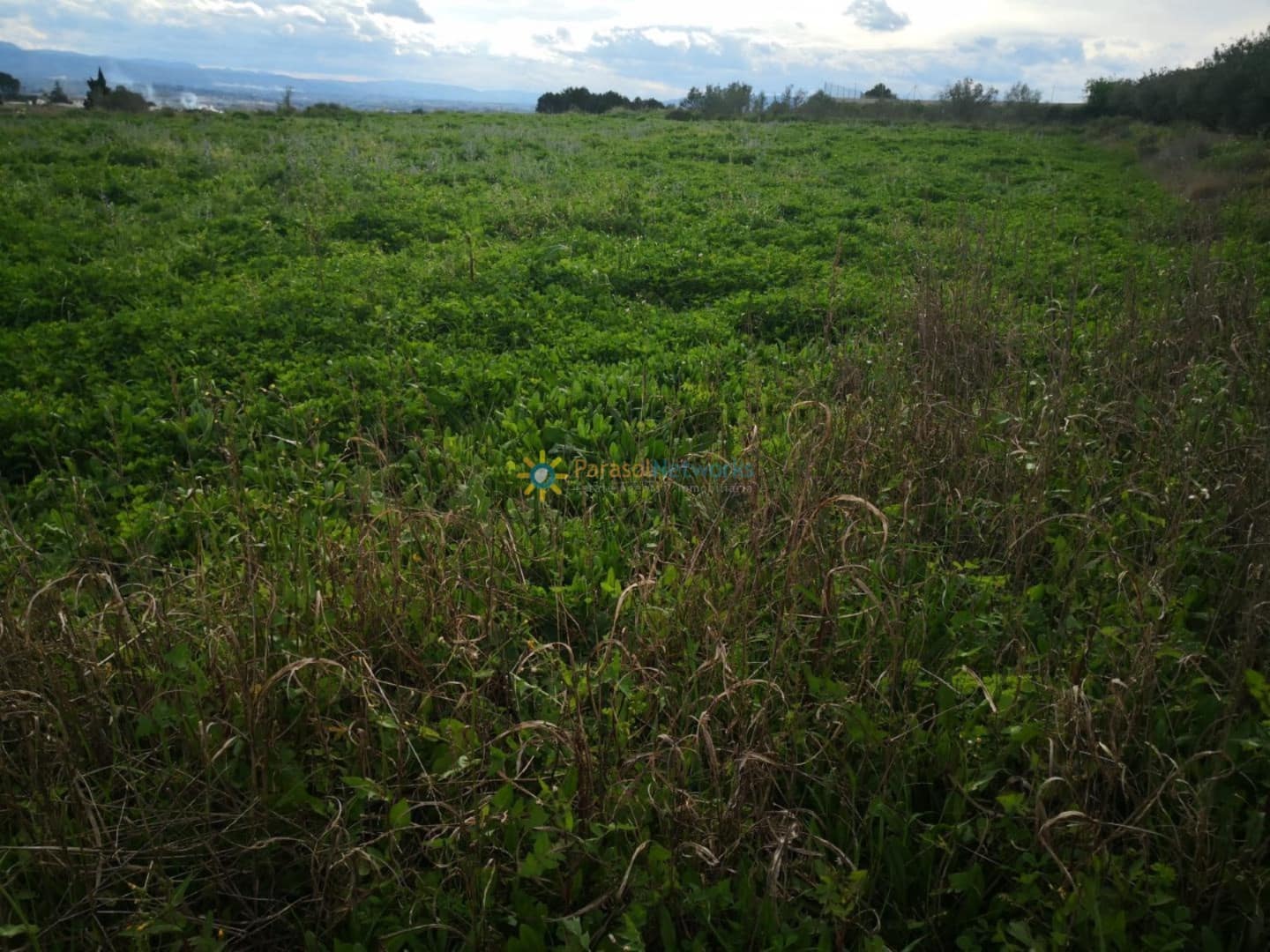 Grunde uden byggetilladelser til salg i Beniganim - € 18.000 (Ref: 9274733)