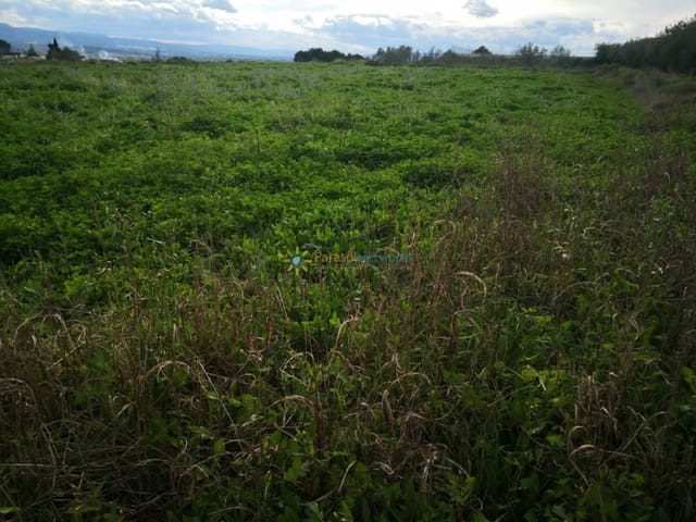 Ubebygd land til salgs i Benigánim - € 18 000 (Ref: 9274733)