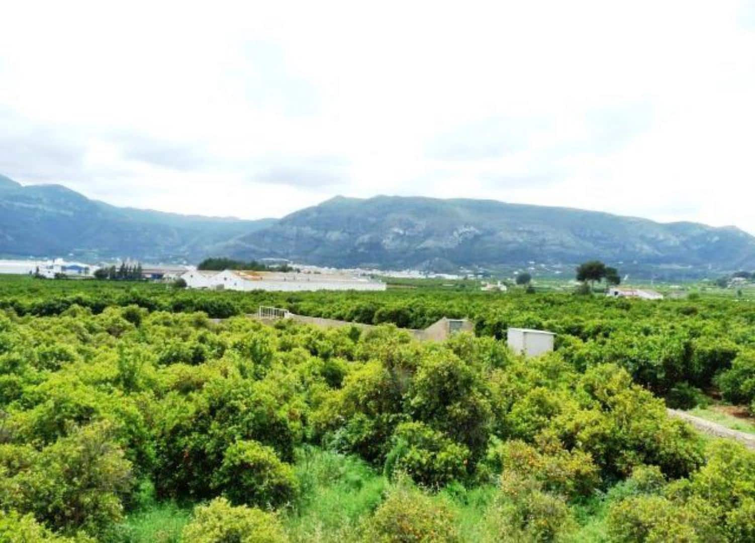 9 soverom Finca/Herregård til salgs i Benifairo de la Valldigna med garasje - € 550 000 (Ref: 9279725)