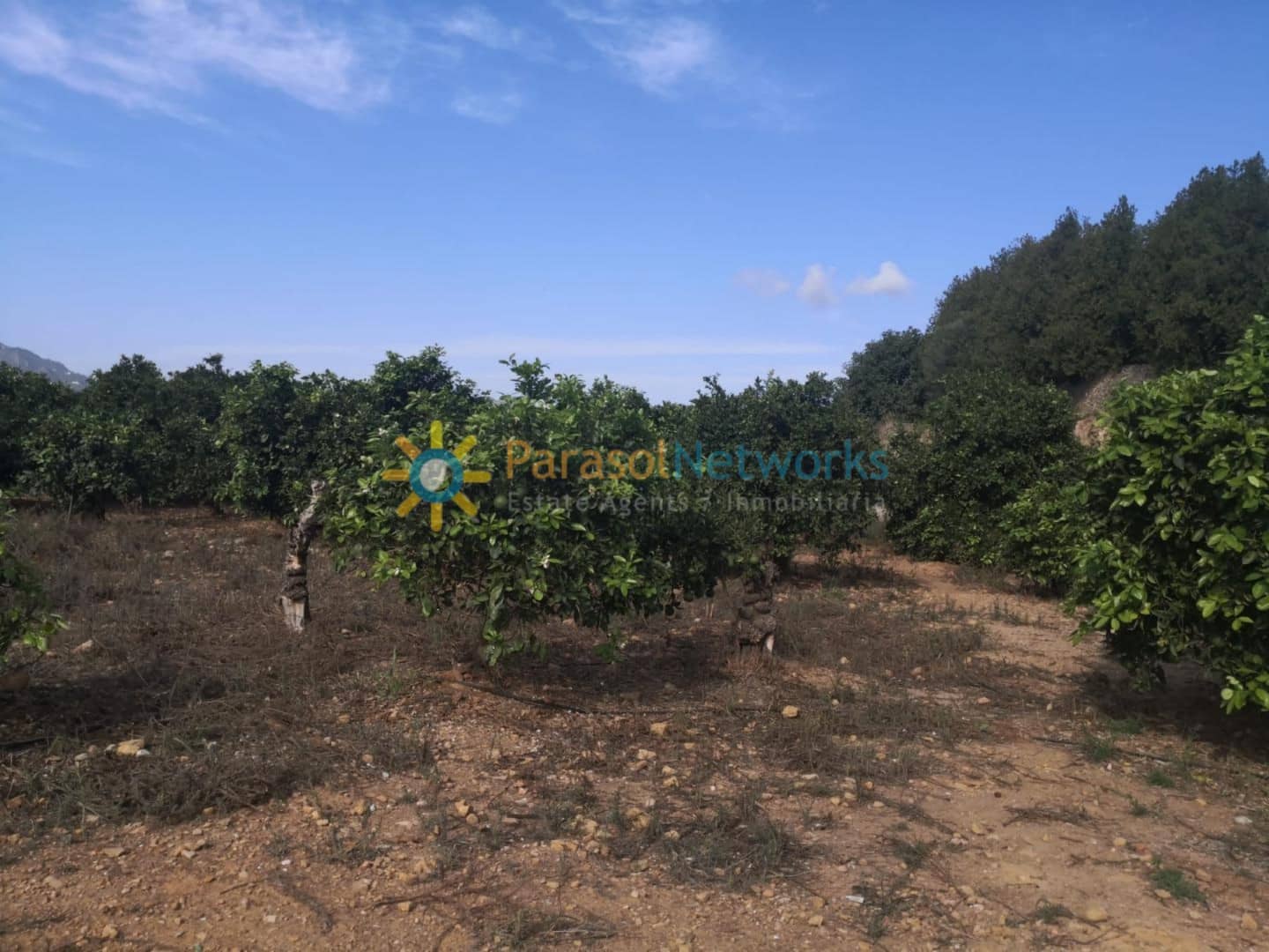 Ubebygd land til salgs i Villalonga - € 60 000 (Ref: 9288388)