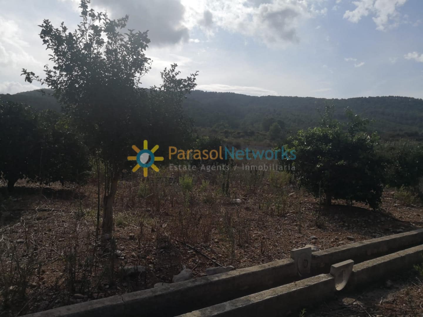 Ubebygd land til salgs i Villalonga - € 60 000 (Ref: 9288388)