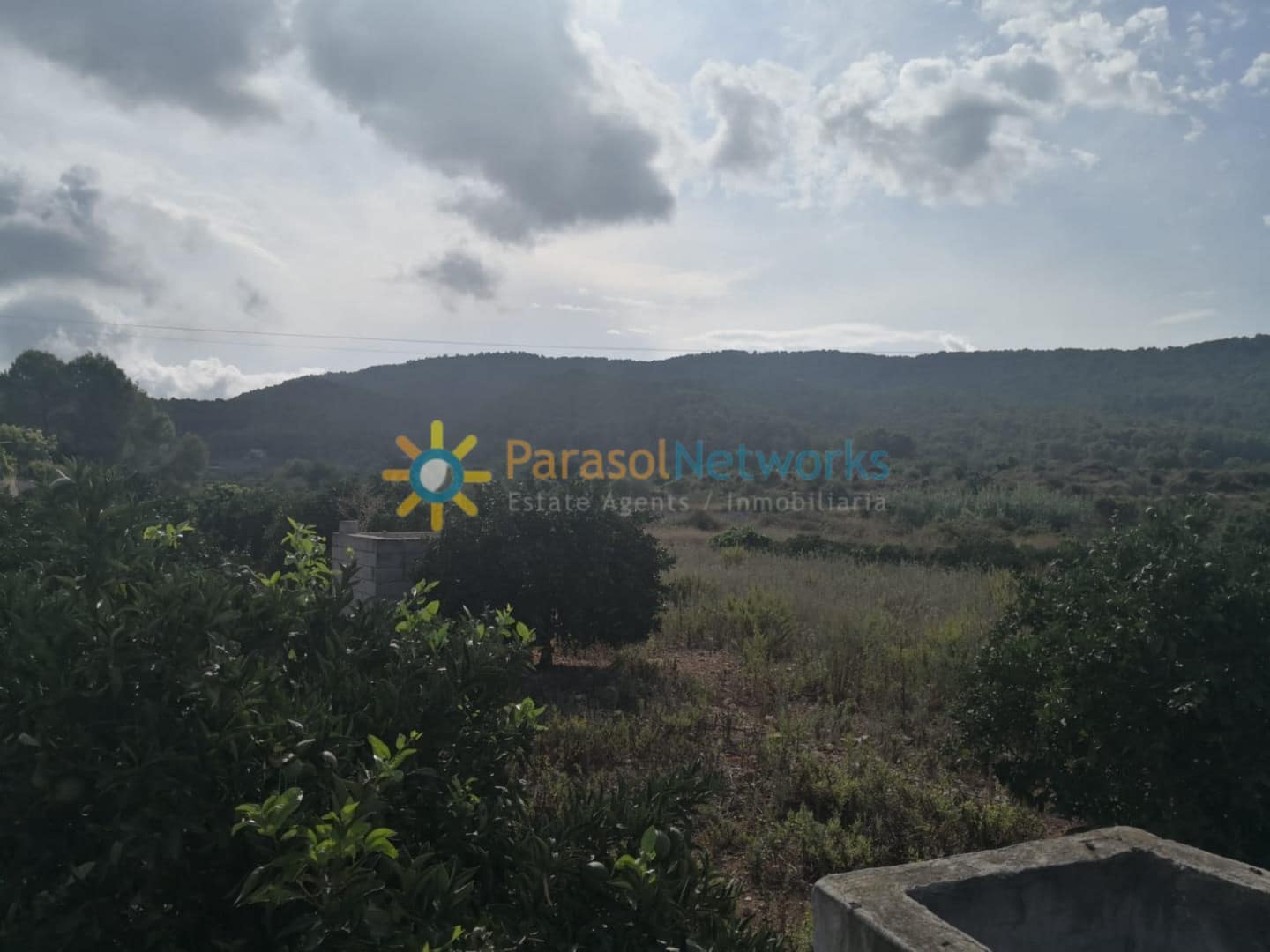 Ubebygd land til salgs i Villalonga - € 60 000 (Ref: 9288388)