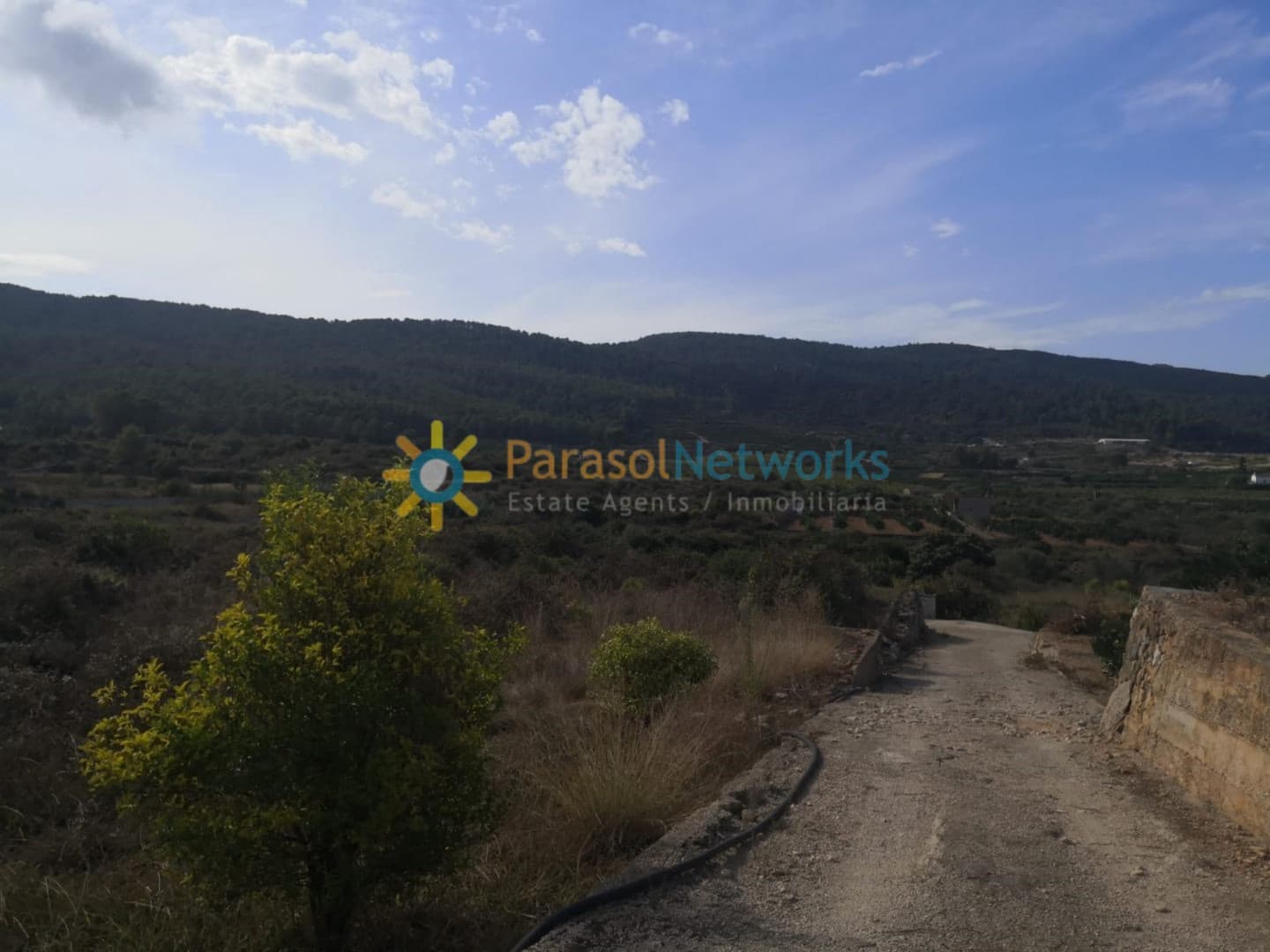 Ubebygd land til salgs i Villalonga - € 60 000 (Ref: 9288388)