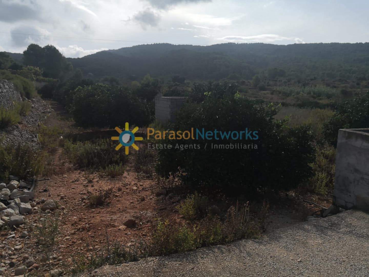 Ubebygd land til salgs i Villalonga - € 60 000 (Ref: 9288388)