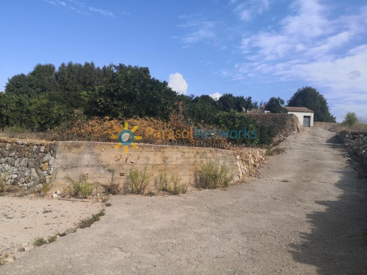 Ubebygd land til salgs i Villalonga - € 60 000 (Ref: 9288388)