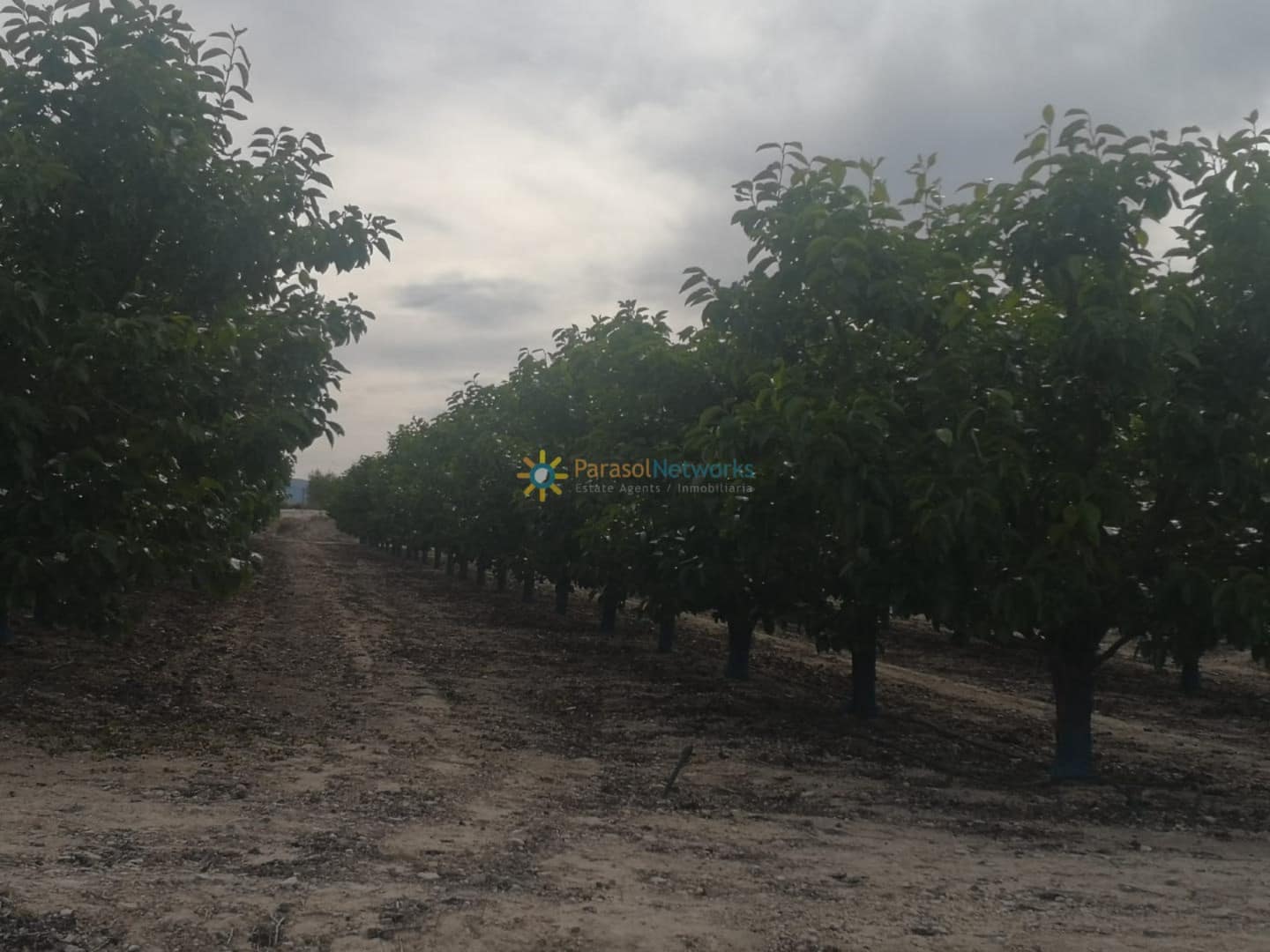 Willa na sprzedaż w Beniganim z garażem - 88 000 € (Ref: 9292246)