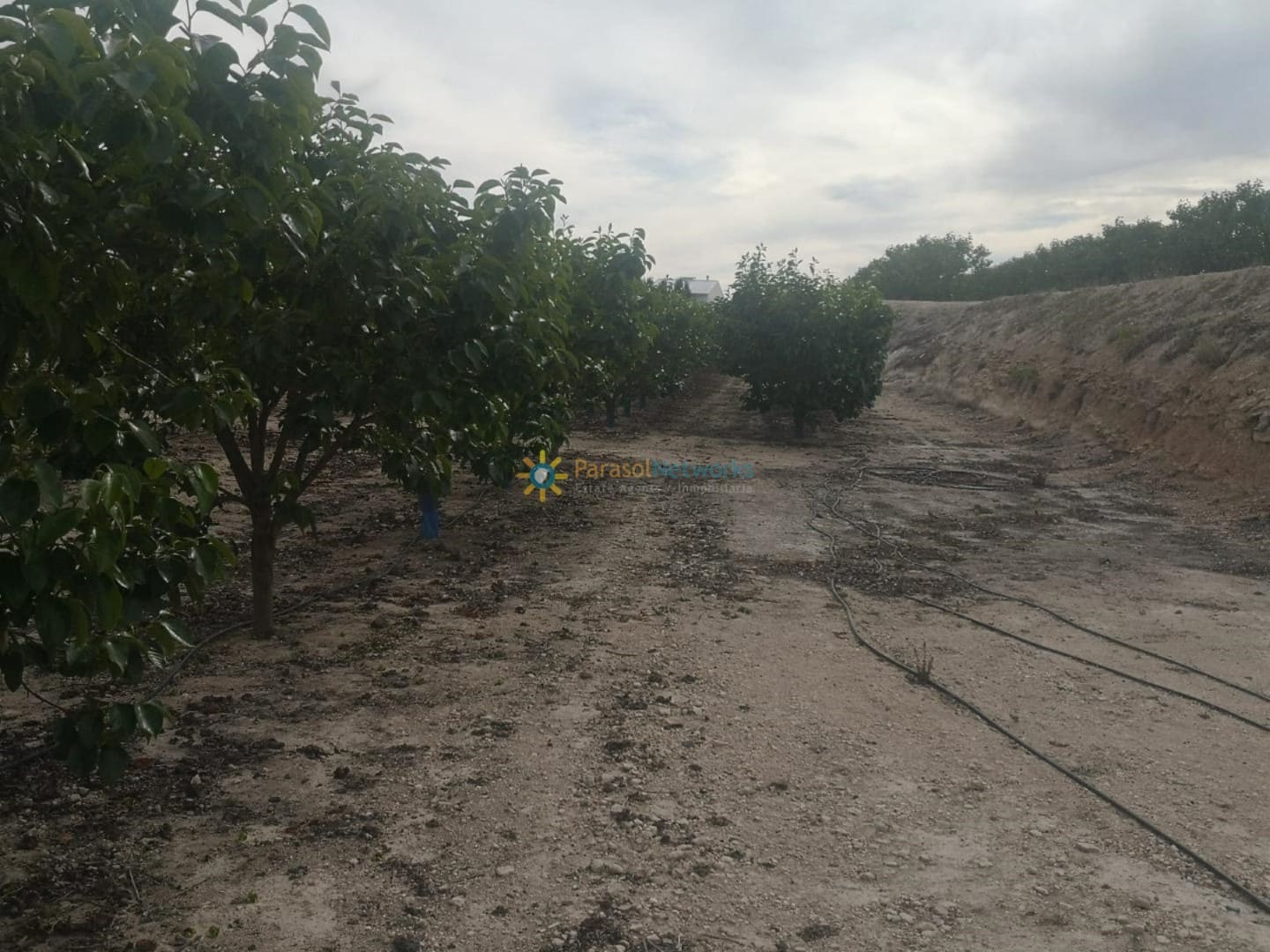 Willa na sprzedaż w Beniganim z garażem - 88 000 € (Ref: 9292246)