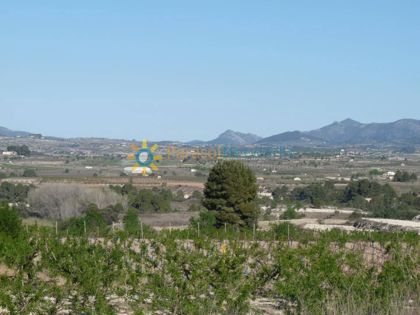 Mark till salu i Belgida - 125 000 € (Ref: 9293193)