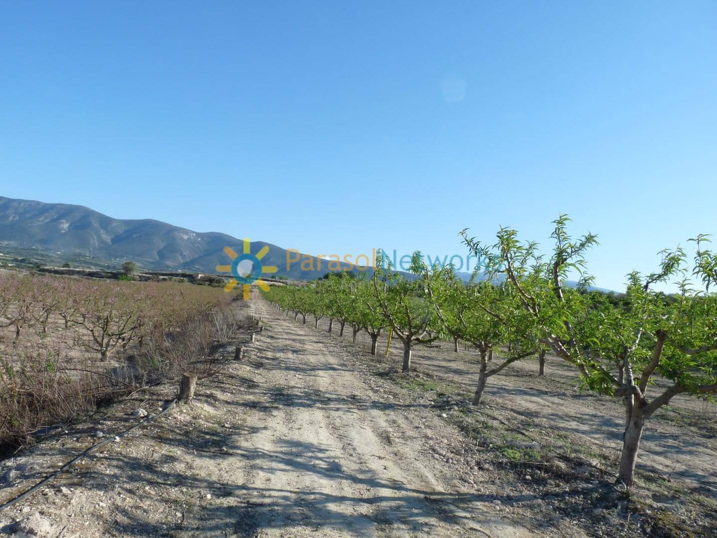 Mark till salu i Belgida - 125 000 € (Ref: 9293193)