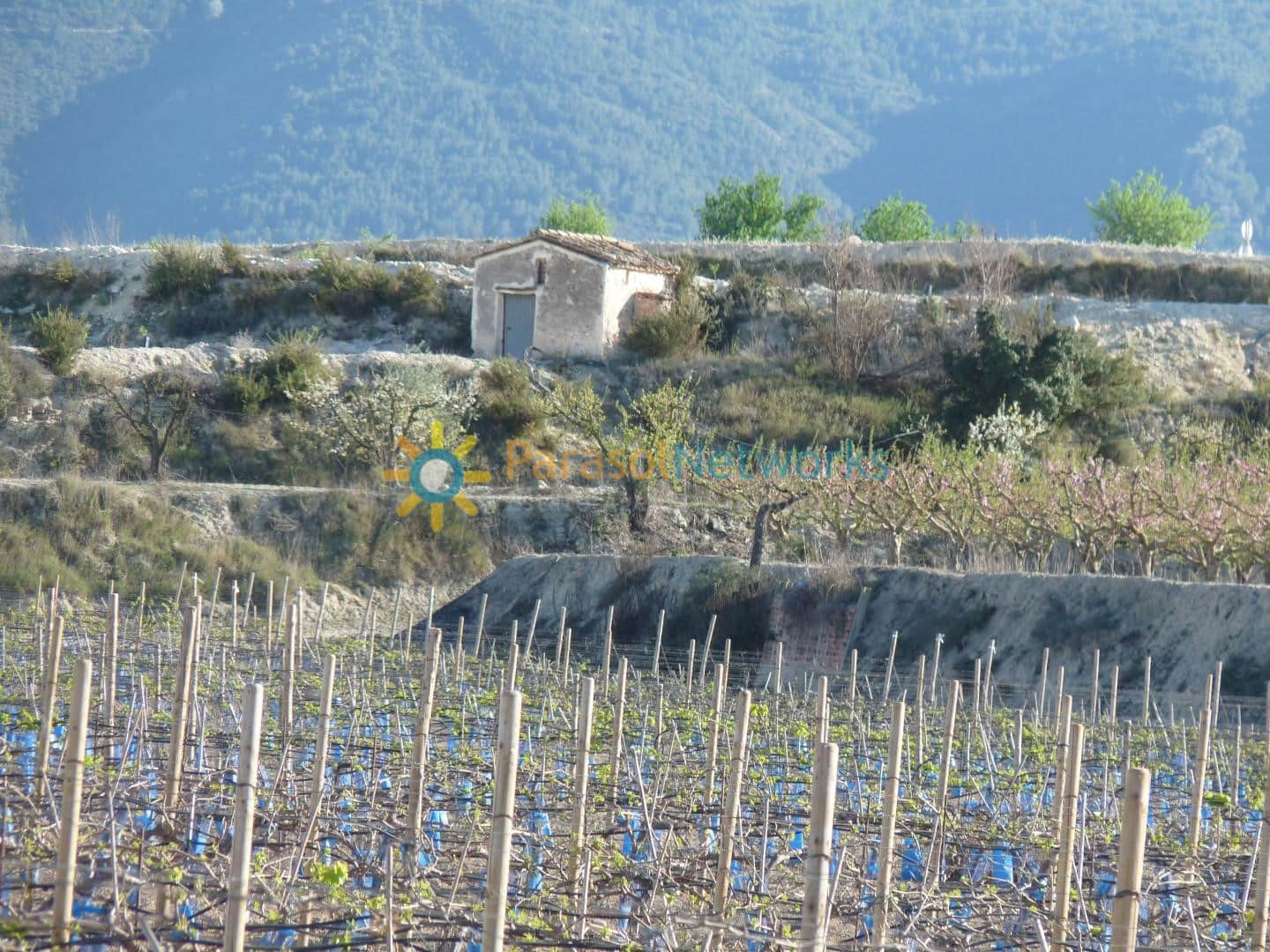 Mark till salu i Belgida - 125 000 € (Ref: 9293193)