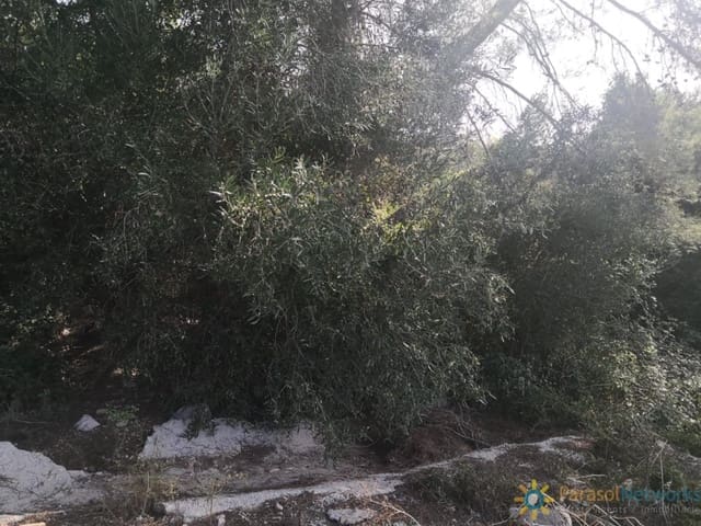 Undeveloped Land for sale in Villalonga - € 60,000 (Ref: 9301594)