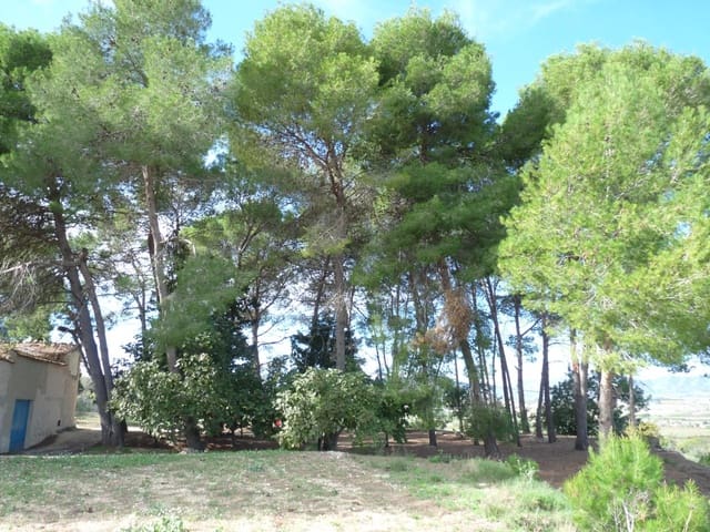 1 soveværelse Finca/Landehus til salg i Albaida med garage - € 105.000 (Ref: 9301744)