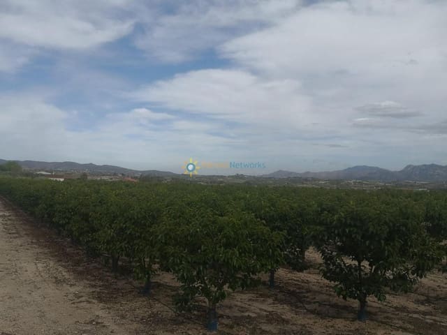 Ubebygd land til salgs i Benigánim - € 88 000 (Ref: 9308731)