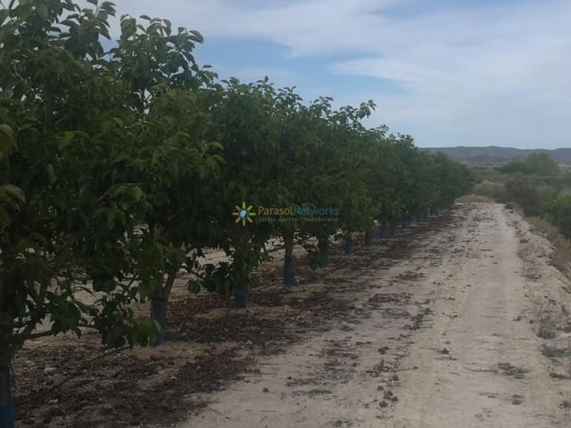 Ubebygd land til salgs i Benigánim - € 88 000 (Ref: 9308731)