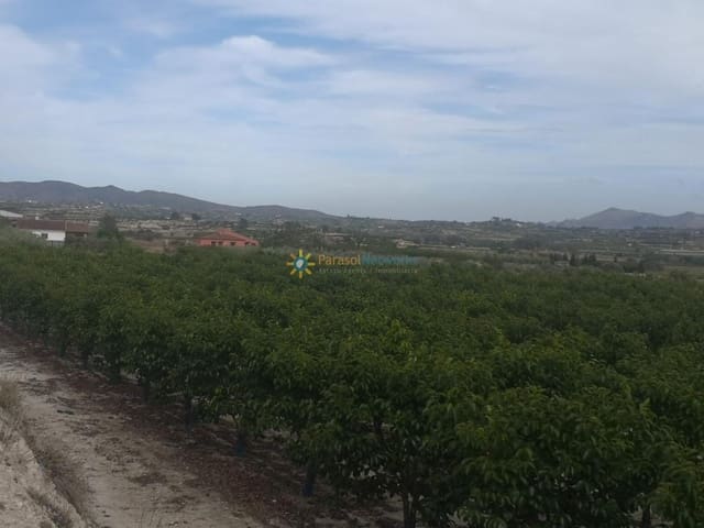 Ubebygd land til salgs i Benigánim - € 88 000 (Ref: 9308731)