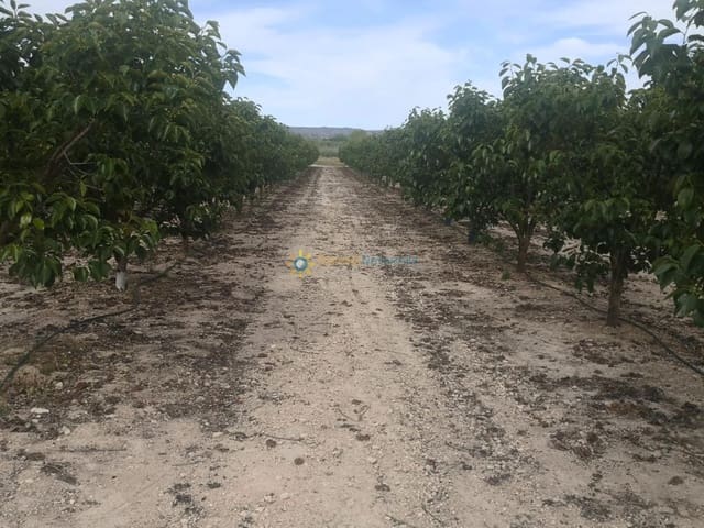 Ubebygd land til salgs i Benigánim - € 88 000 (Ref: 9308731)