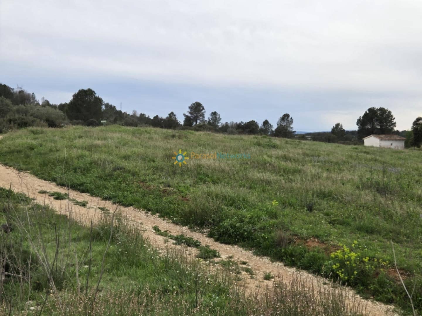 Ubebygd land til salgs i Beniganim - € 170 000 (Ref: 9324473)