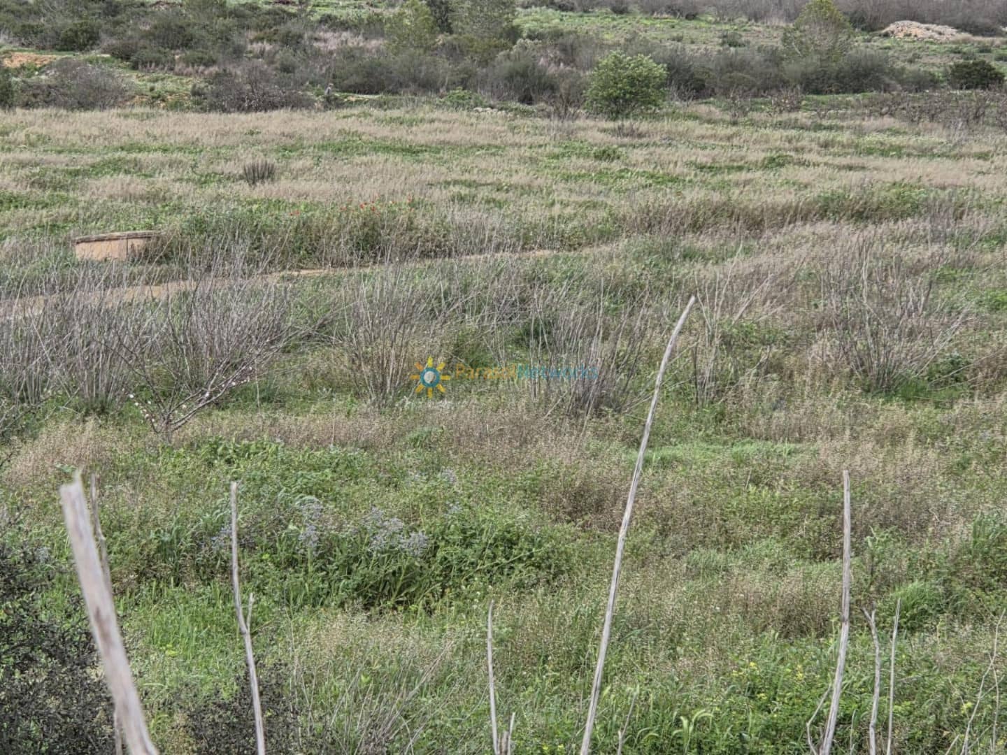 Ubebygd land til salgs i Beniganim - € 170 000 (Ref: 9324473)