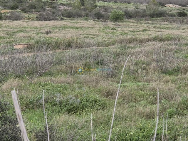 Ubebygd land til salgs i Benigánim - € 170 000 (Ref: 9324473)