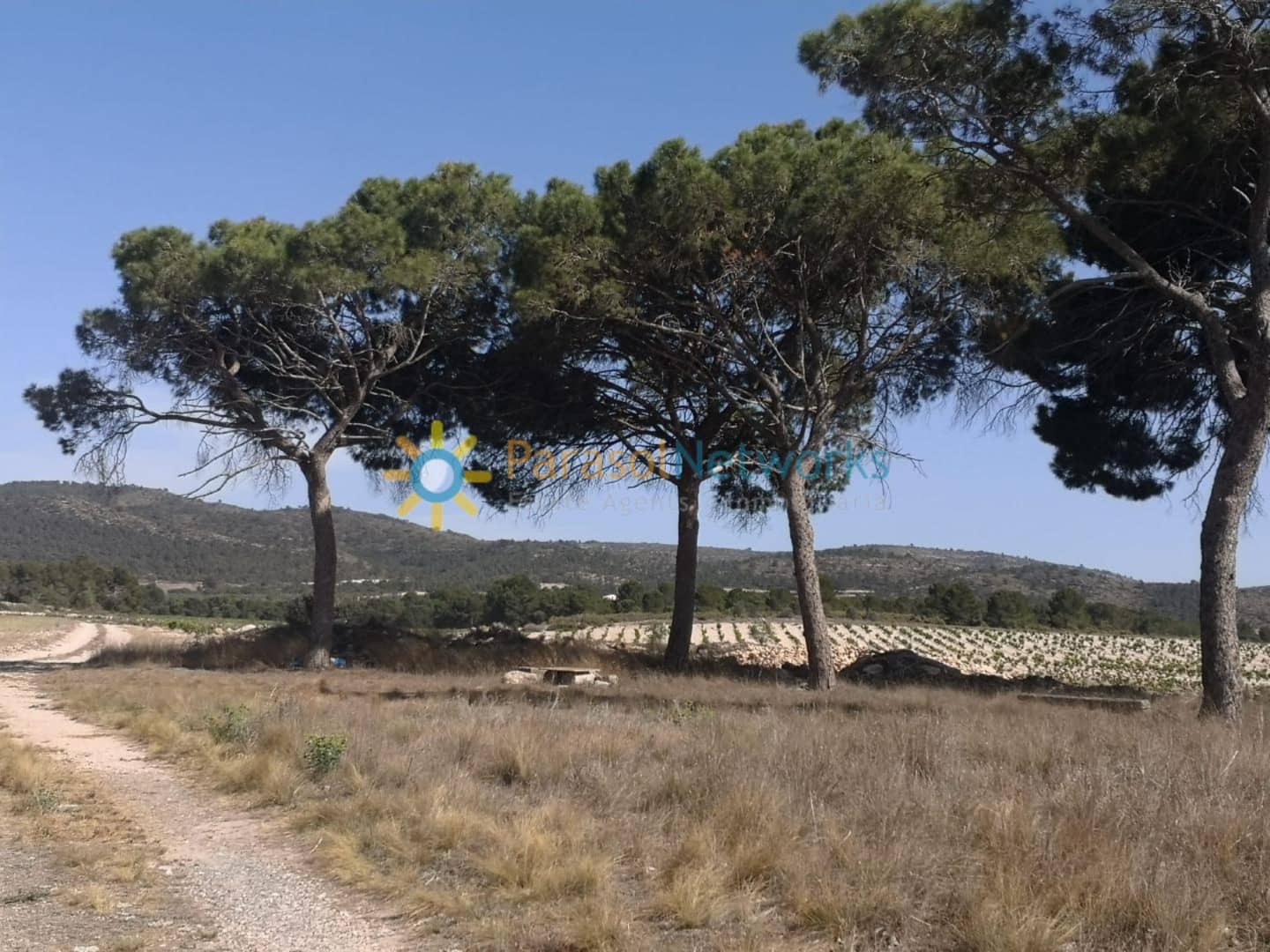 3 soveværelse Finca/Landehus til salg i Villena med garage - € 1.000.000 (Ref: 9328319)