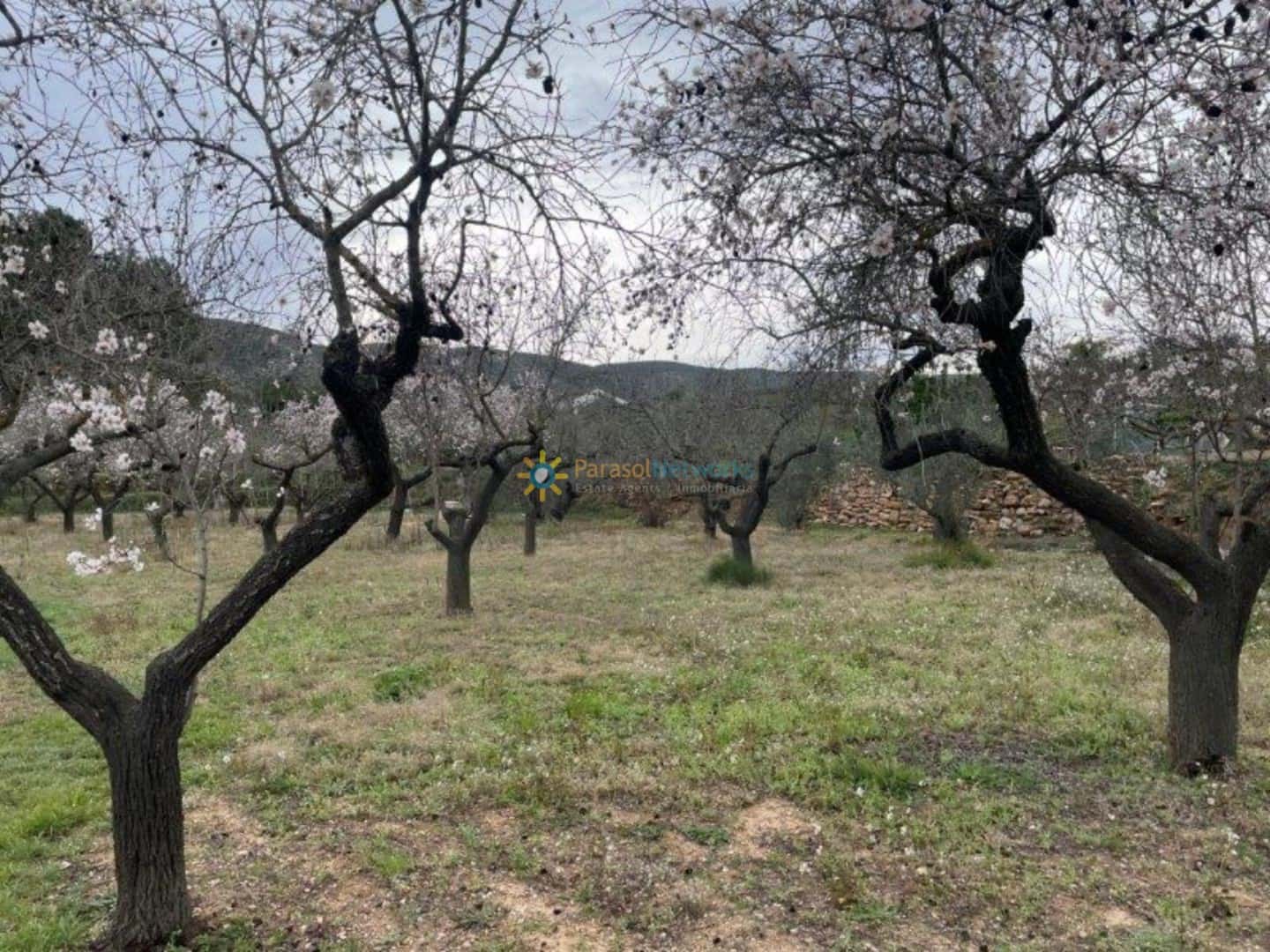 4 slaapkamer Villa te koop in Ontinyent - € 110.000 (Ref: 9329911)