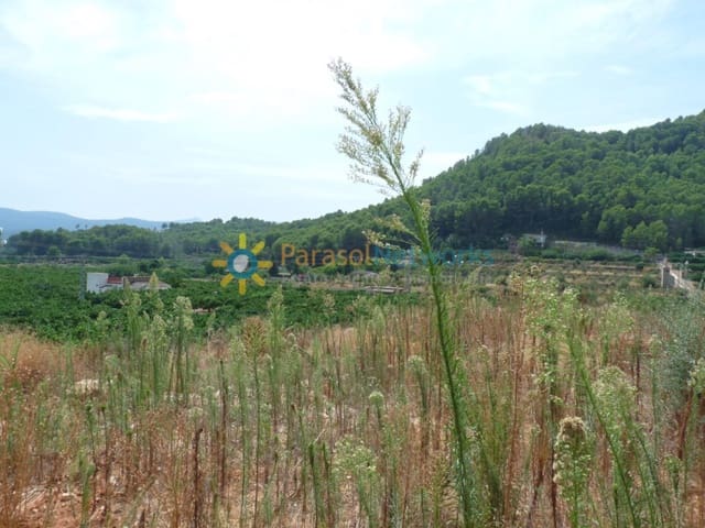 Building Plot for sale in Real de Gandía - € 159,000 (Ref: 9338799)