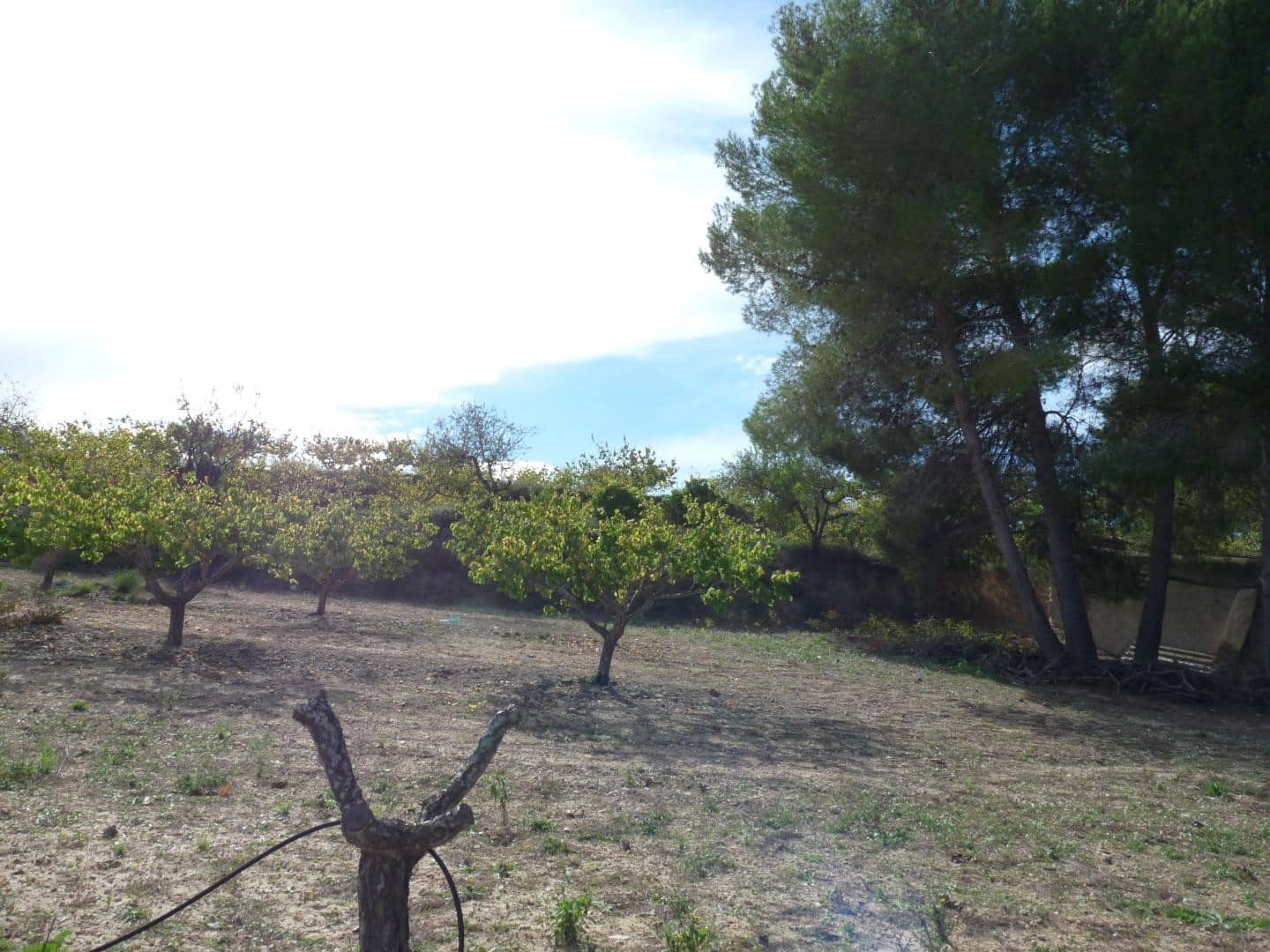 1 chambre Finca/Maison de Campagne à vendre à Albaida avec garage - 105 000 € (Ref: 9344050)