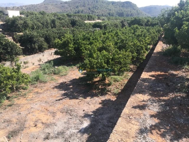 Undeveloped Land for sale in Oliva Pueblo, Oliva - € 23,000 (Ref: 9354042)