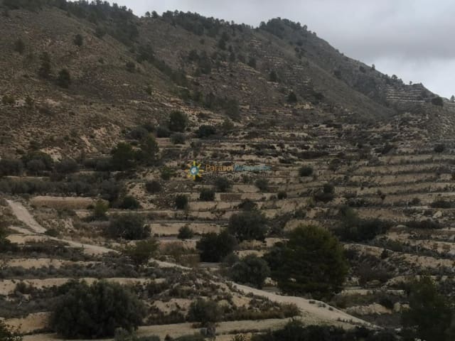 Finca/Casa Rural de 3 habitaciones en Relleu en venta - 290.000 € (Ref: 9357705)