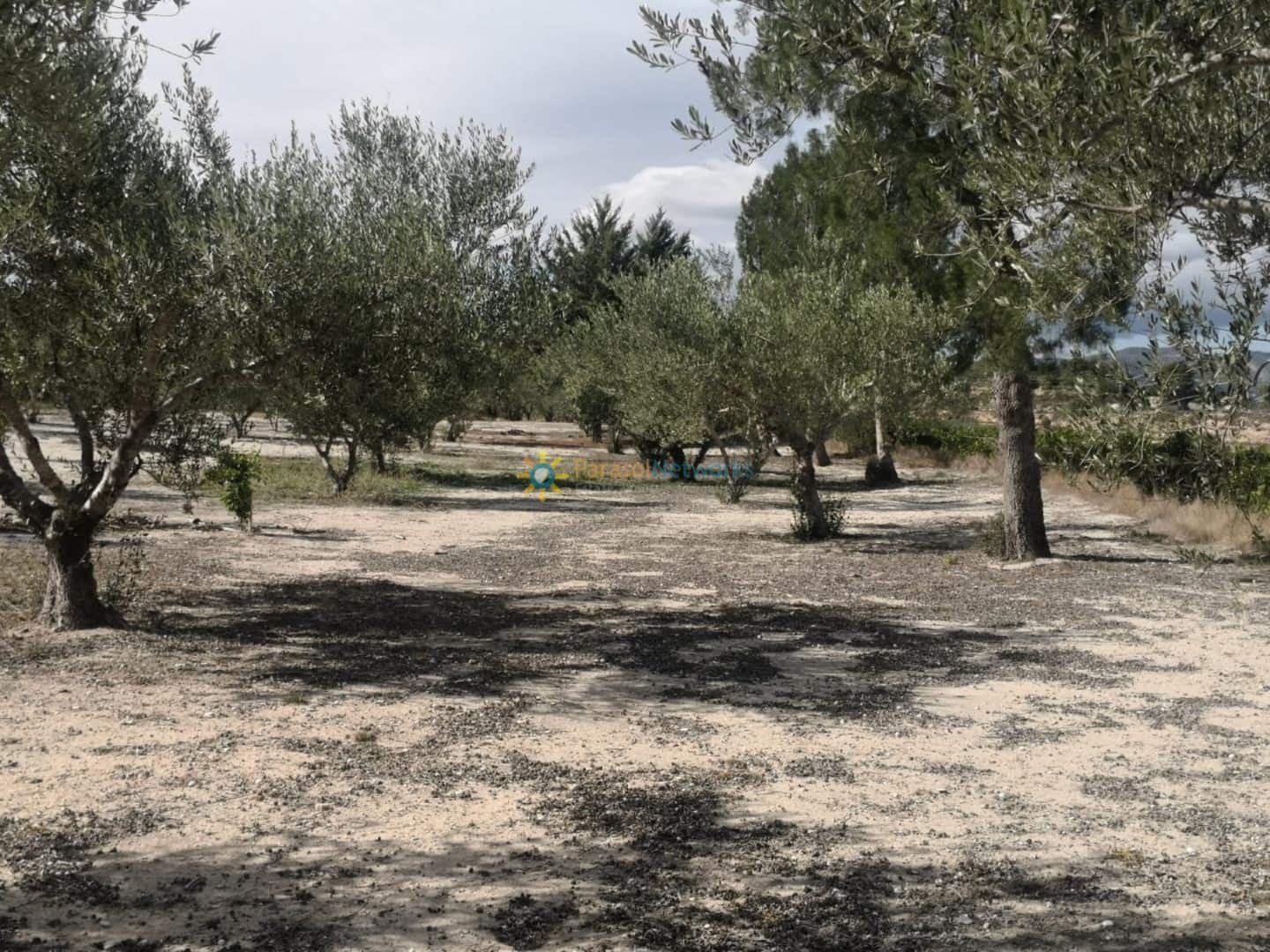 3 bedroom Finca/Country House for sale in Bufali with garage - € 110,000 (Ref: 9357744)