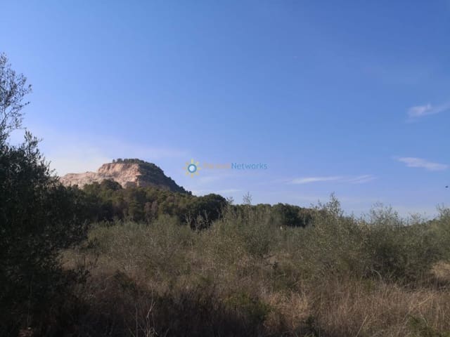 Terreno Non Edificato in vendita in Pego - 29.000 € (Rif: 9357820)